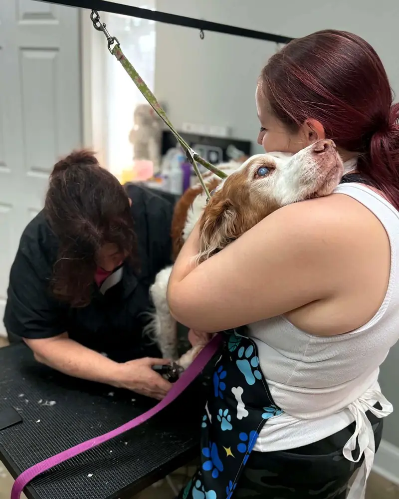 Two groomers comforting a senior spaniel during a gentle nail trim in Summerville