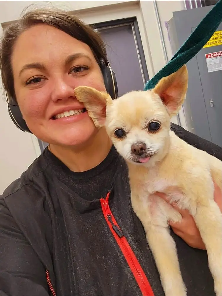 Groomer Taylor holding a freshly trimmed chihuahua mix